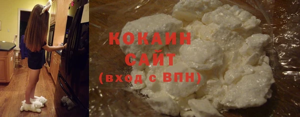 mix Бородино
