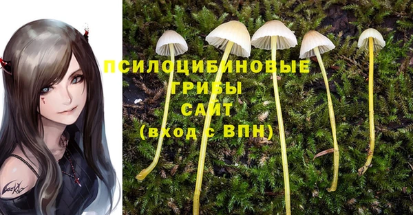 мяу мяу мука Бронницы
