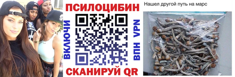 Галлюциногенные грибы мицелий  Вышний Волочёк 